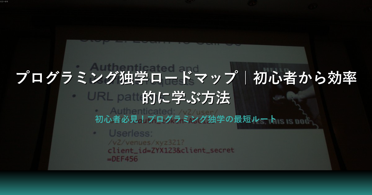 プログラミング独学ロードマップ｜初心者から実践まで完全ガイド
