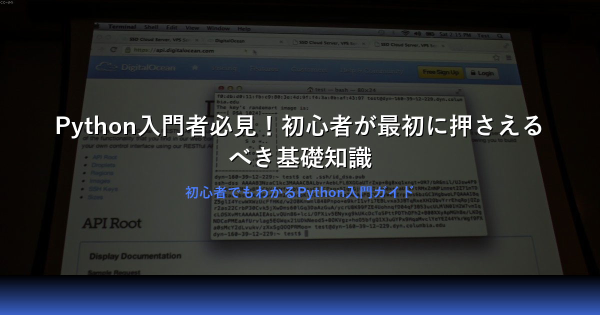 Python入門｜初心者でもわかる基礎から実践まで