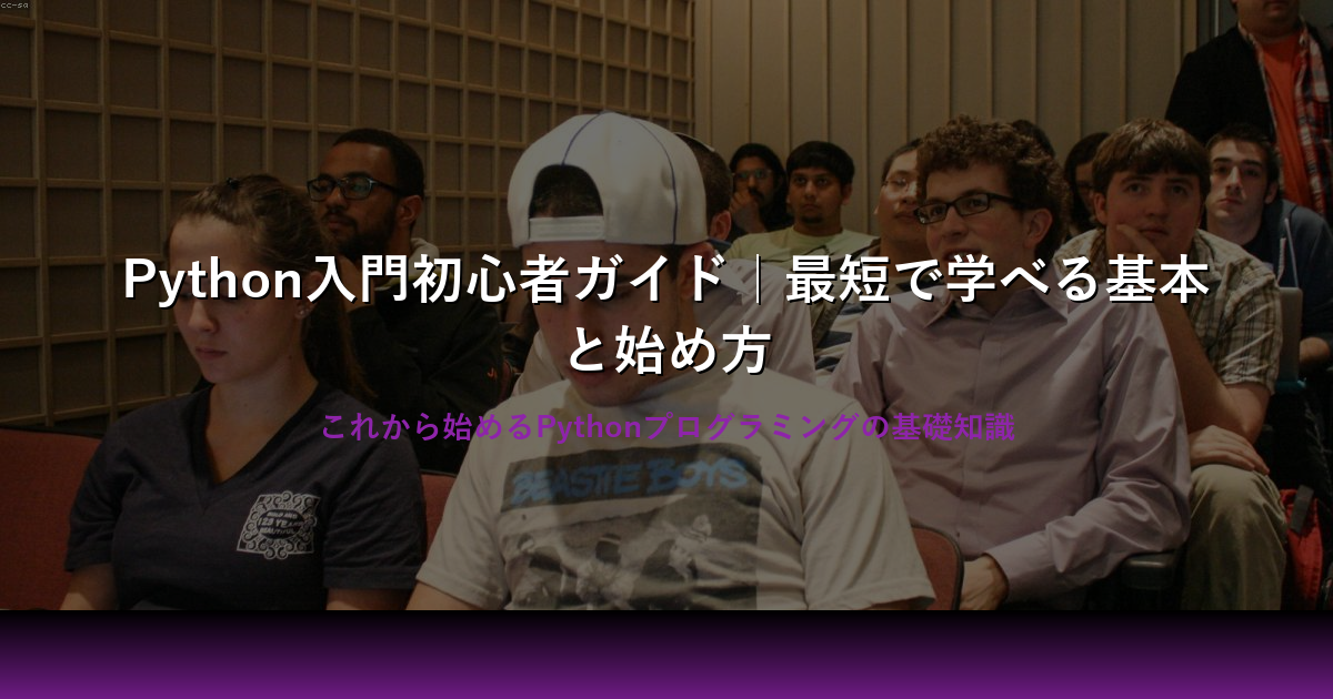 初心者でも安心！Python入門ガイド｜基礎から実践まで徹底解説