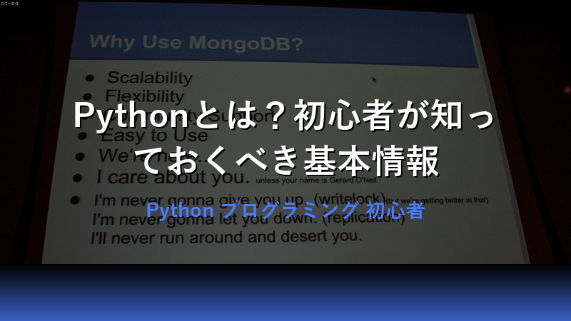 Pythonとは？<a href=