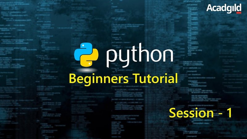 Pythonの基礎文法を理解しよう