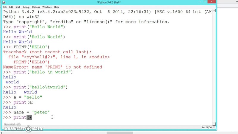 Pythonの基本文法を理解しよう